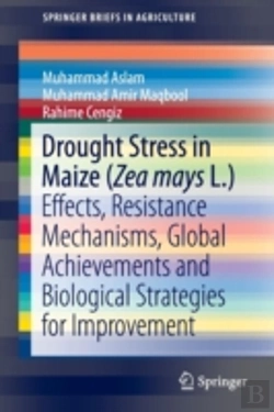 Bertrand.pt - Drought Stress In Maize (Zea Mays L.)