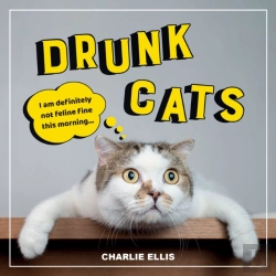 Bertrand.pt - Drunk Cats