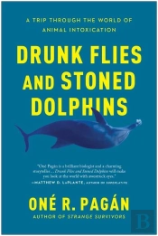 Drunk Flies And Stoned Dolphins