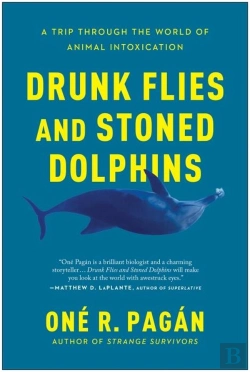 Bertrand.pt - Drunk Flies And Stoned Dolphins