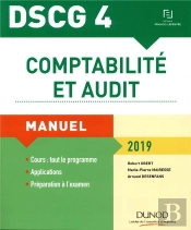 Dscg 4 - Comptabilite Et Audit 2019 - Manuel