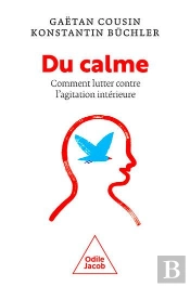 Du Calme ! Comment Lutter Contre L'Agitation Intérieure
