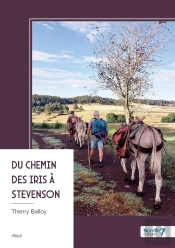 Du Chemin Des Iris À Stevenson