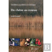 Du Chêne Au Roseau ; Traditions Populaires De Bretagne