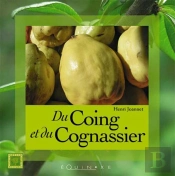 Du Coing Et Du Cognassier