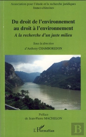 Du Droit De L'Environnement Au Droit À L'Environnement ; À La Recherche D'Un Juste Milieu