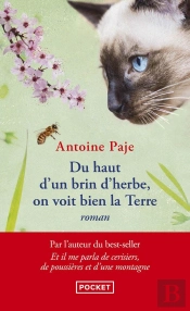 Du Haut D'Un Brin D'Herbe, On Voit Bien La Terre
