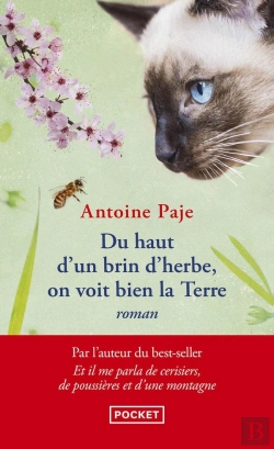 Bertrand.pt - Du Haut D'Un Brin D'Herbe, On Voit Bien La Terre