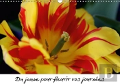Du Jaune Pour Fleurir Vos Journees Calendrier Mural 2018 Din A3 Horizontal