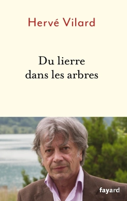 Bertrand.pt - Du Lierre Dans Les Arbres