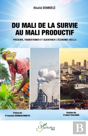 Du Mali De La Survie Au Mali Productif : Produire, Transformer Et Gouverner L'Économie Réelle