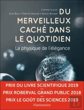 Du Merveilleux Caché Dans Le Quotidien ; La Physique De L'Élégance