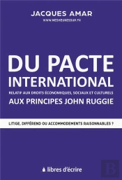 Du Pacte International Relatif Aux Droits Economiques, Sociaux & Culturels Aux Principes John Ruggie