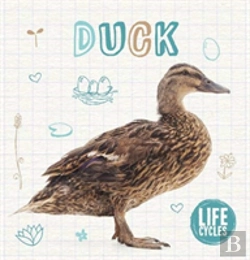 Bertrand.pt - Duck