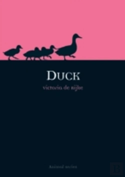 Bertrand.pt - Duck