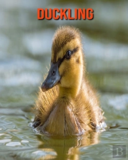 Bertrand.pt - Duckling