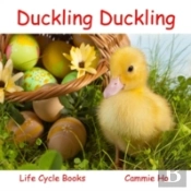 Duckling Duckling