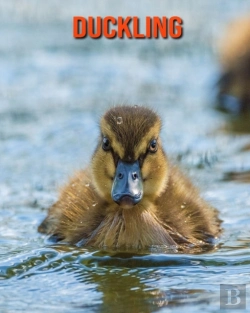 Bertrand.pt - Duckling