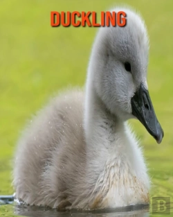 Bertrand.pt - Duckling