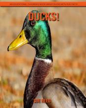 Ducks! An Educational Children'S Book About Ducks With Fun Facts