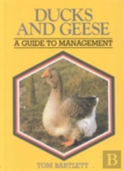 Ducks And Geese