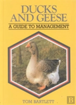 Bertrand.pt - Ducks And Geese