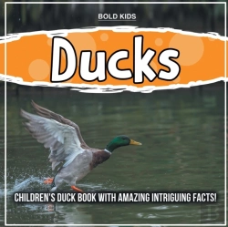 Bertrand.pt - Ducks