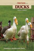Ducks