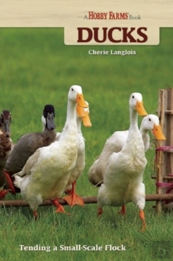 Bertrand.pt - Ducks