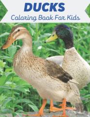 Ducks Coloring Book For Kids
