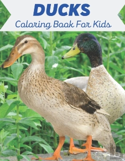 Bertrand.pt - Ducks Coloring Book For Kids