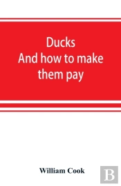 Ducks