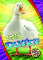 Ducks