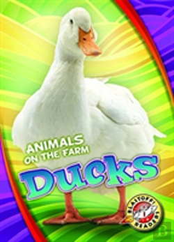 Bertrand.pt - Ducks