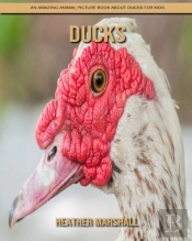 Ducks