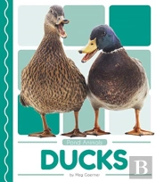 Ducks