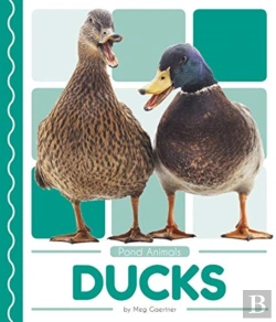 Bertrand.pt - Ducks