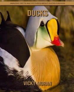 Bertrand.pt - Ducks