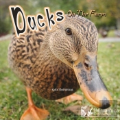 Ducks On The Farm