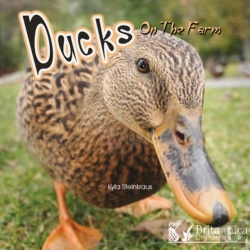 Bertrand.pt - Ducks On The Farm