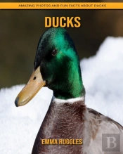 Ducks