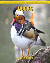 Ducks