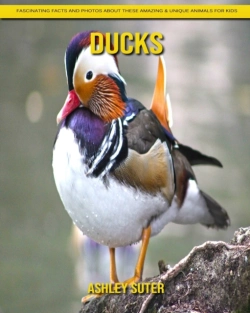 Bertrand.pt - Ducks