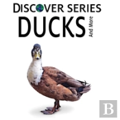 Ducks
