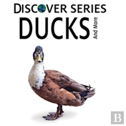 Bertrand.pt - Ducks