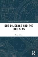 Due Diligence And The High Seas