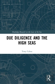 Due Diligence And The High Seas