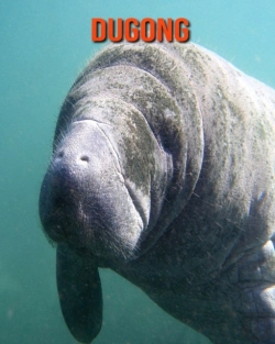 Bertrand.pt - Dugong