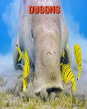 Dugong