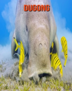 Bertrand.pt - Dugong